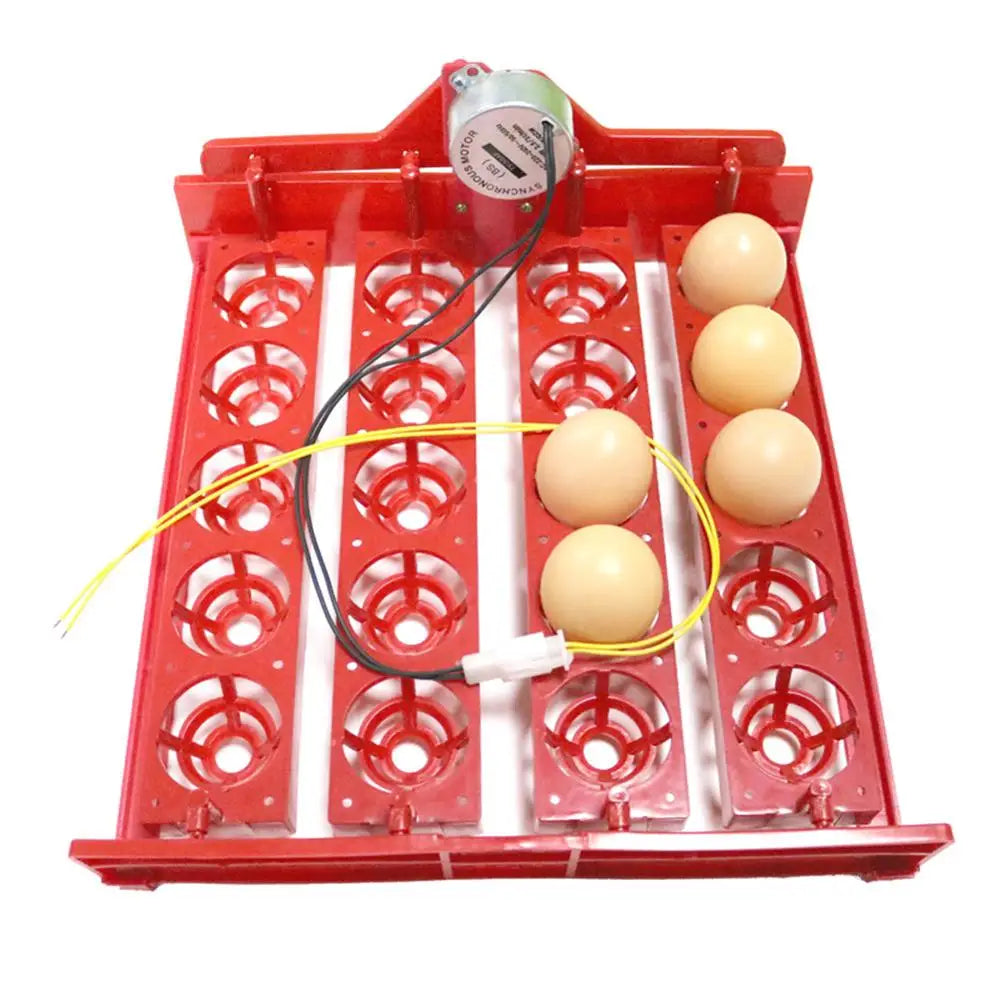 20 Egg Incubator Turn Eggs Tray Chicken Bird Duck Goose Pigeon Quail