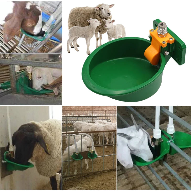 Automatic Goat Pig Water Drinker Bowl With Value Quality Water