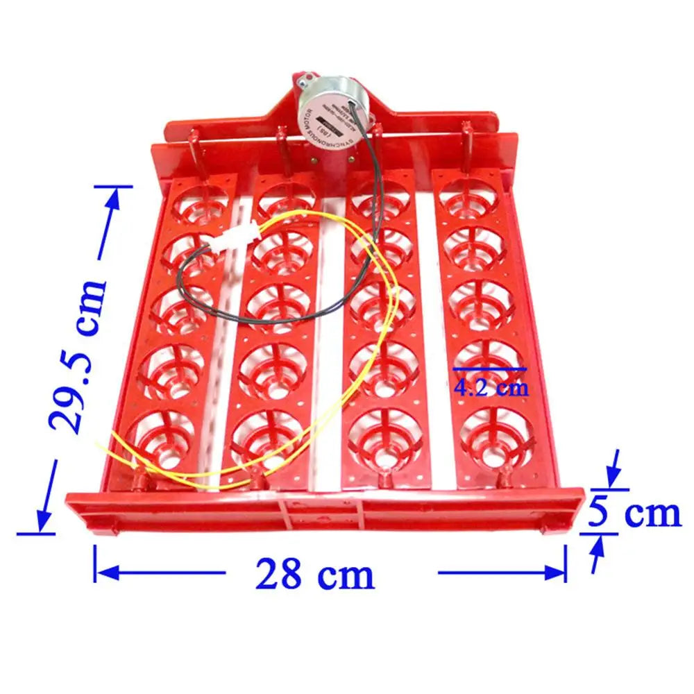 20 Egg Incubator Turn Eggs Tray Chicken Bird Duck Goose Pigeon Quail