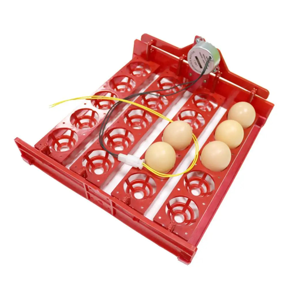 20 Egg Incubator Turn Eggs Tray Chicken Bird Duck Goose Pigeon Quail