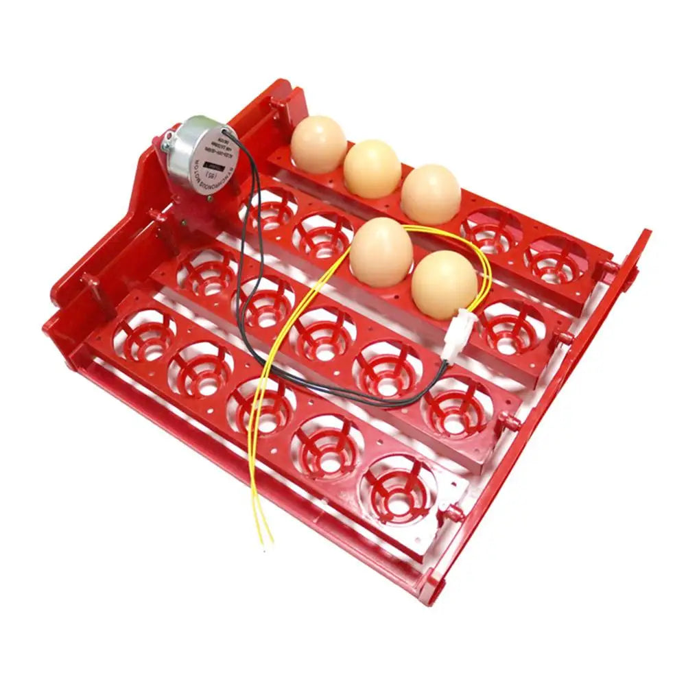 20 Egg Incubator Turn Eggs Tray Chicken Bird Duck Goose Pigeon Quail