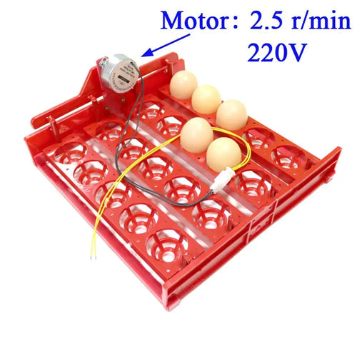 20 Egg Incubator Turn Eggs Tray Chicken Bird Duck Goose Pigeon Quail