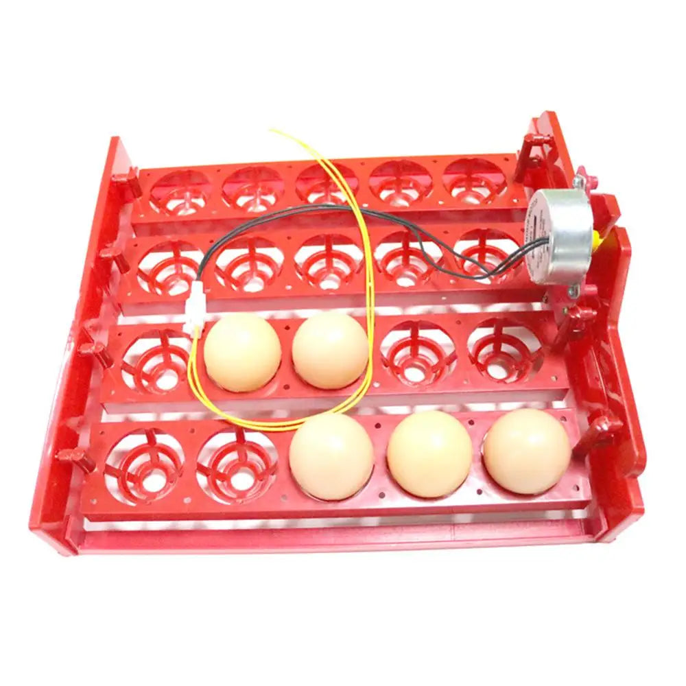 20 Egg Incubator Turn Eggs Tray Chicken Bird Duck Goose Pigeon Quail