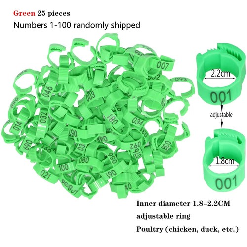 Adjustable Chicken/Pigeon Foot Rings Poultry Leg Digital Label Buckles