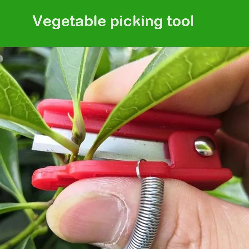 Vegetable Thump Knife Separator Vegetable Fruit Harvesting Picking