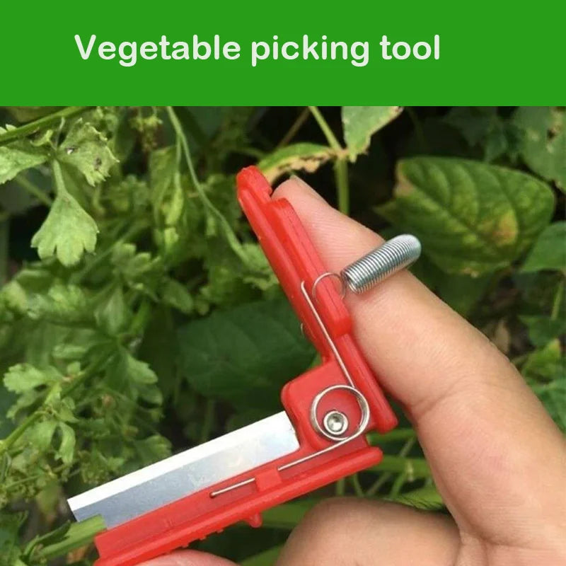 Vegetable Thump Knife Separator Vegetable Fruit Harvesting Picking