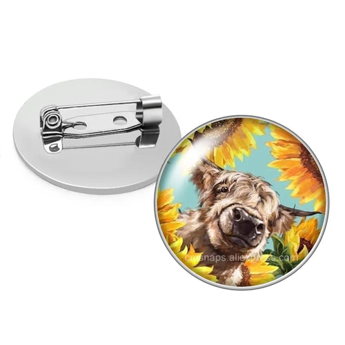 cows cattle Bull Cute animals Photo Glass cabochon Brooch pinback