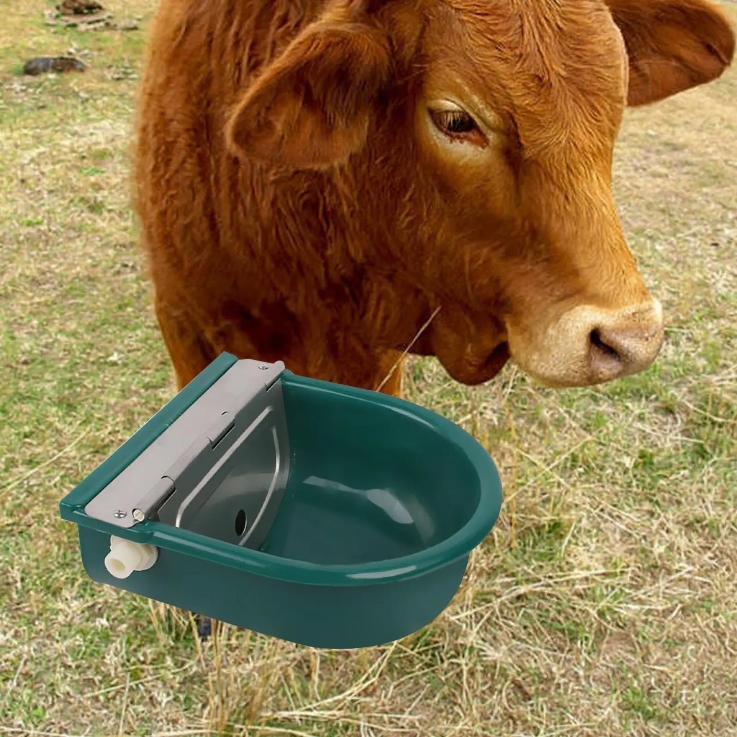 Automatic Cow Drinking Water Bowl Livestock Waterer Bowl Practical