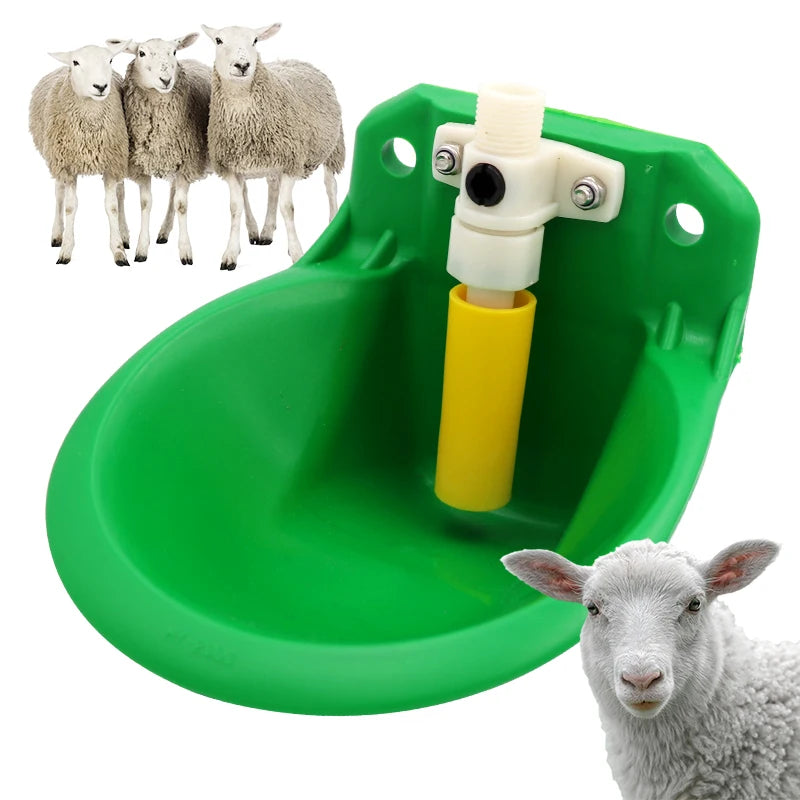 Automatic Goat Pig Water Drinker Bowl With Value Quality Water