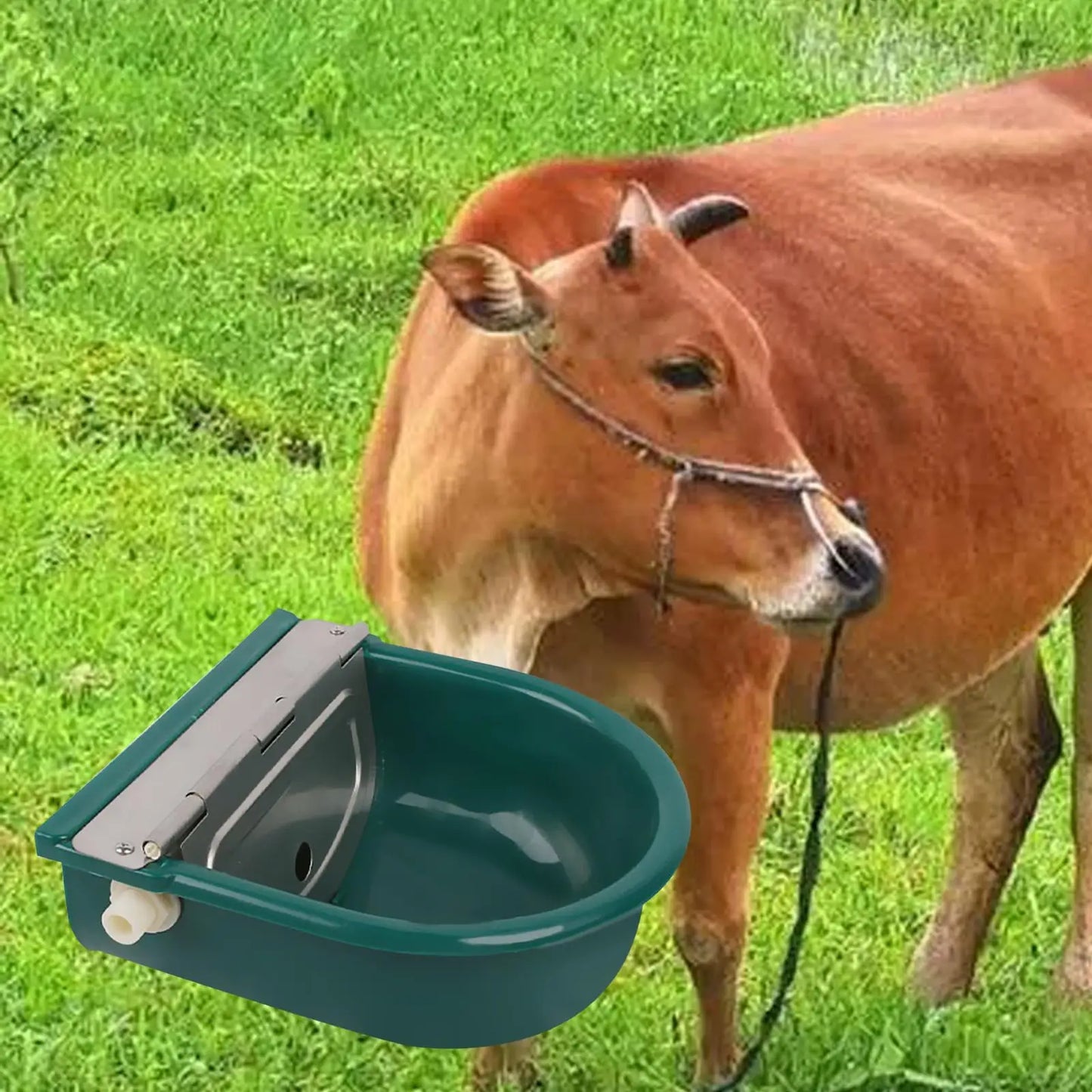 Automatic Cow Drinking Water Bowl Livestock Waterer Bowl Practical